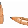 Hornady, Varmint Soft Point, 22 Cal, 100 Count, 55Gr
